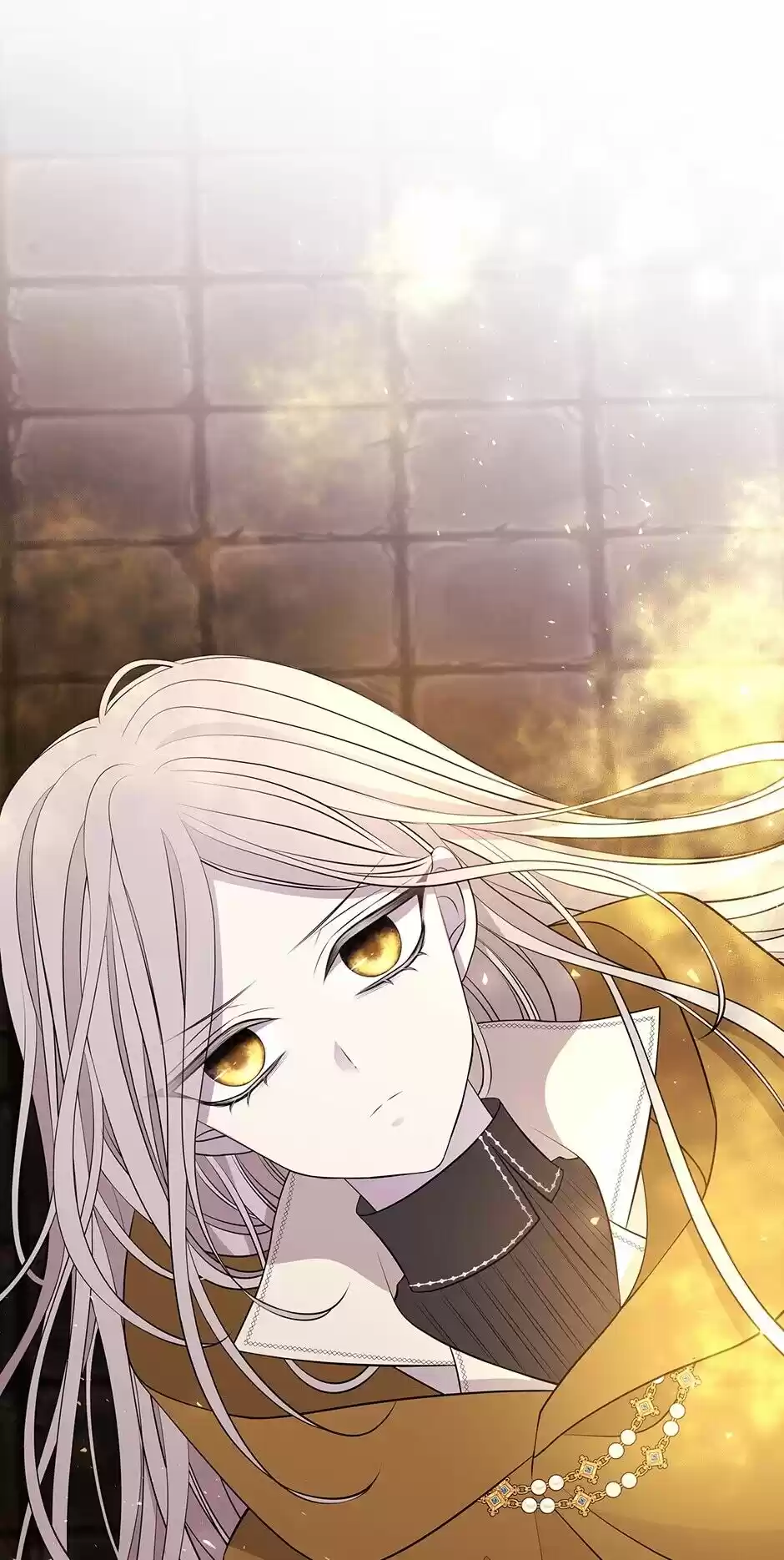 Charlotte Has Five Disciples Chapter 72