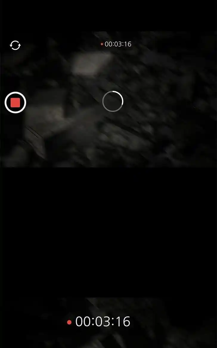 Chasing Tails Ch.100