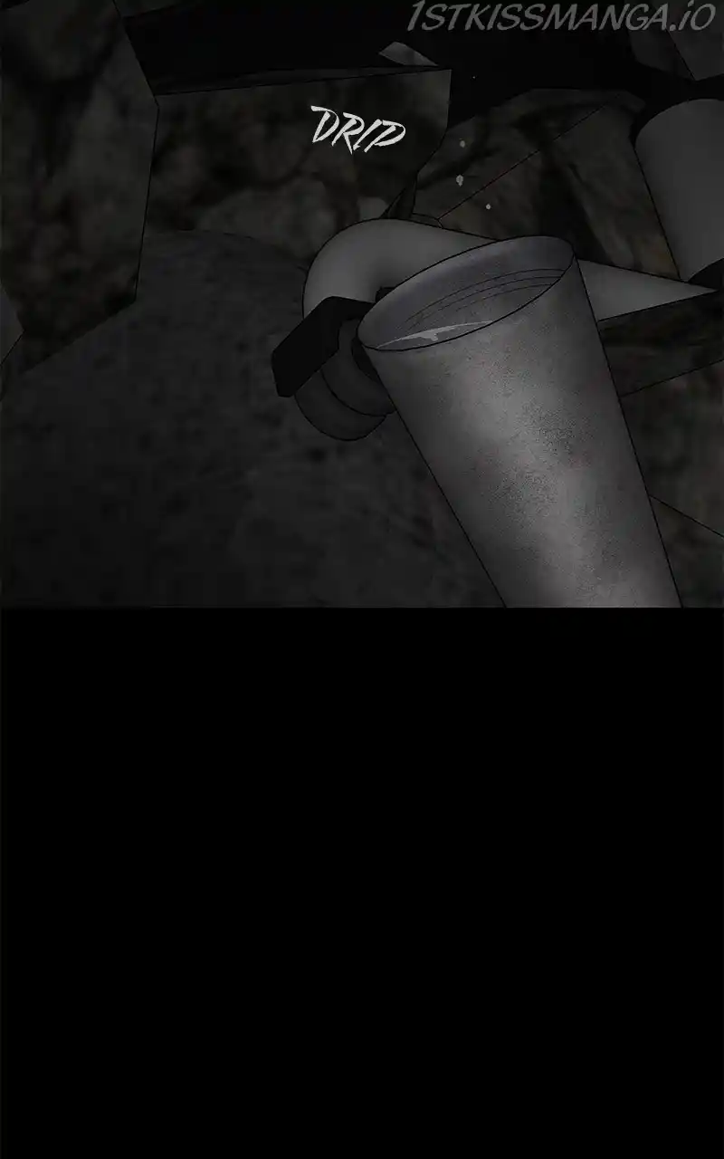 Chasing Tails Chapter 41