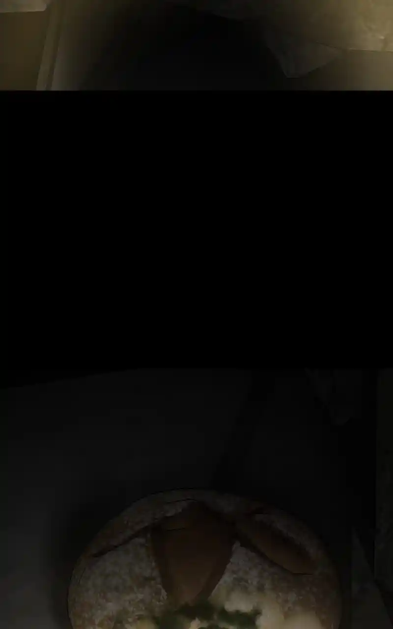 Chasing Tails Chapter 72