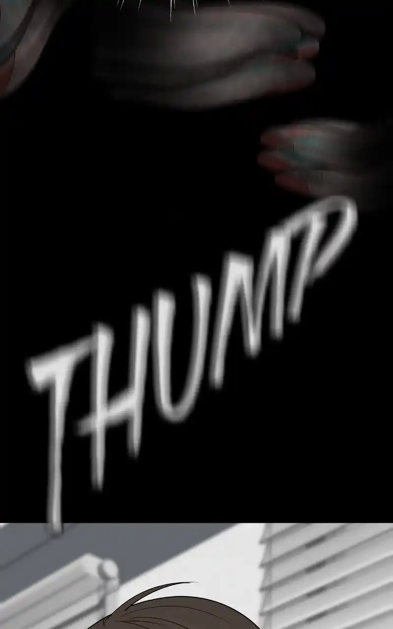 Chasing Tails Chapter 72