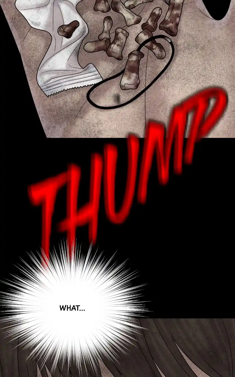 Chasing Tails Chapter 72