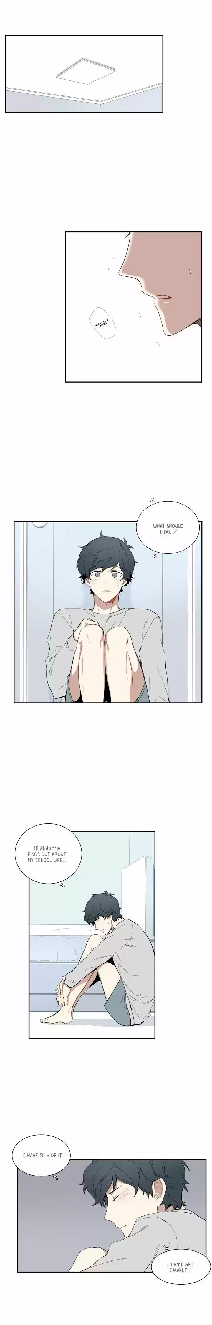 Cherry Blossoms After Winter 3