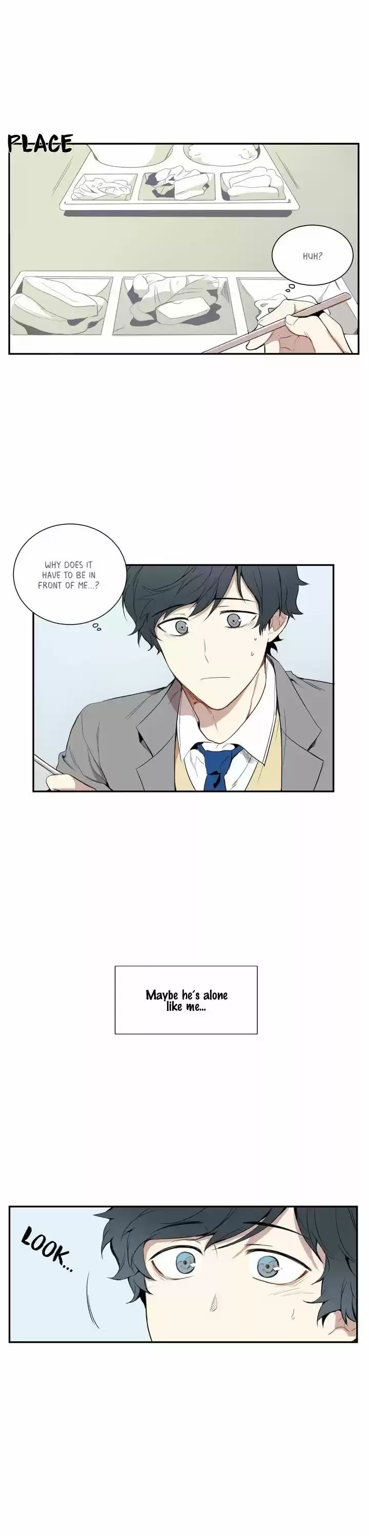 Cherry Blossoms After Winter 3