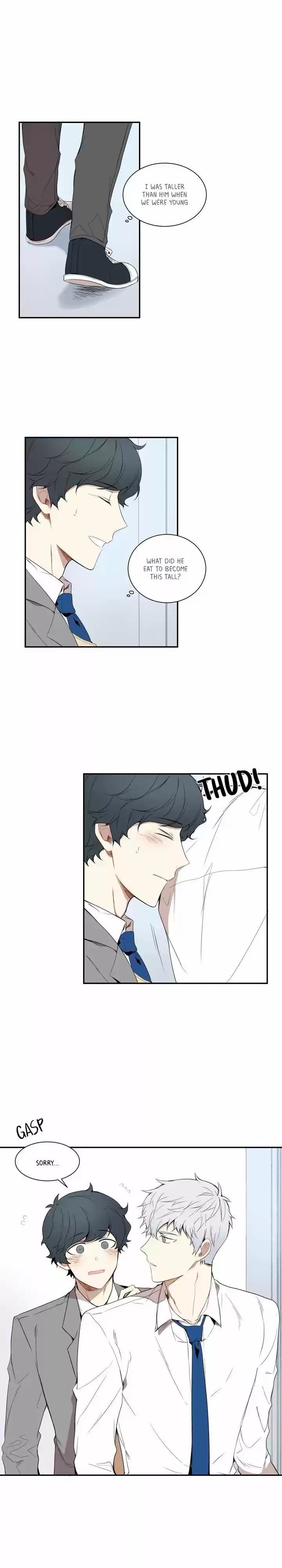 Cherry Blossoms After Winter 4