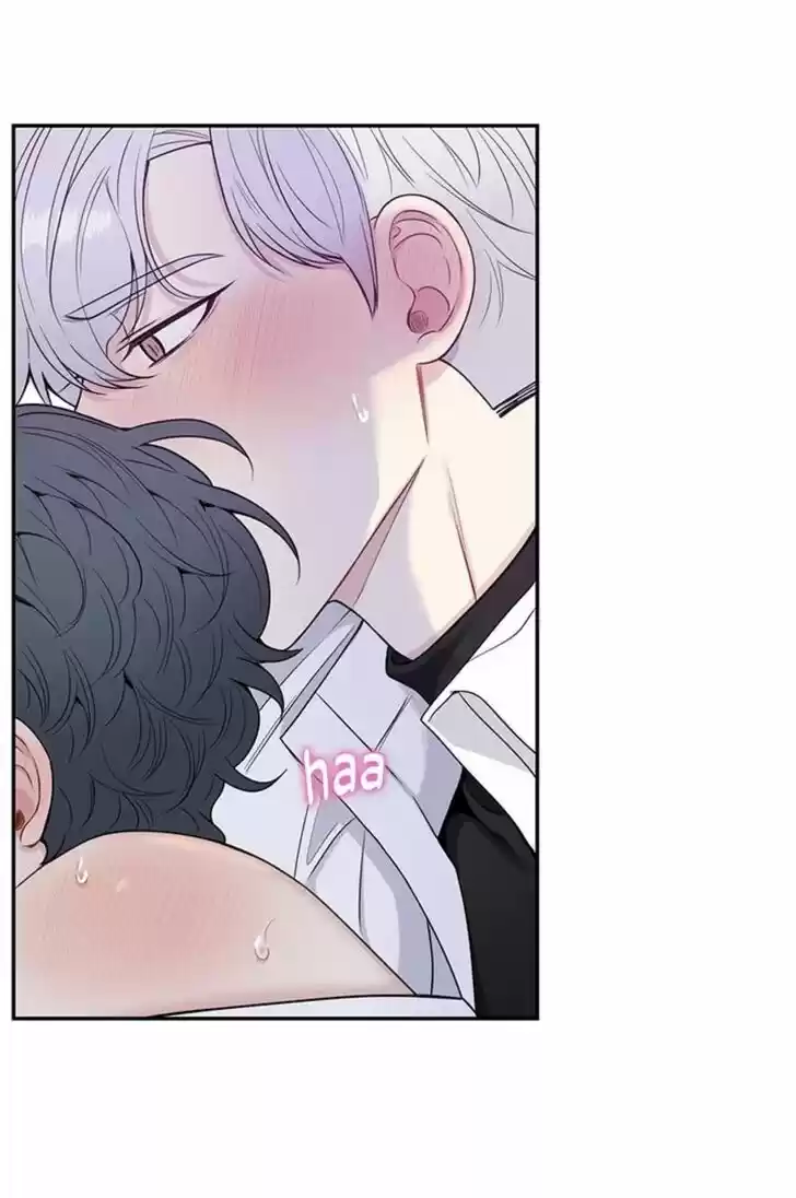 Cherry Blossoms After Winter Ch.146