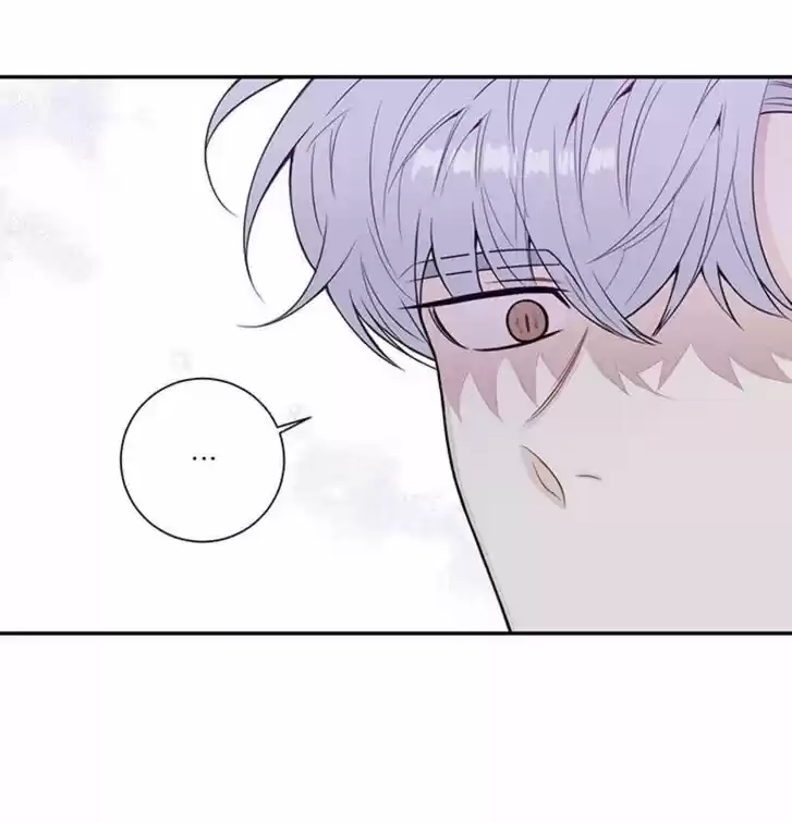 Cherry Blossoms After Winter Ch.146