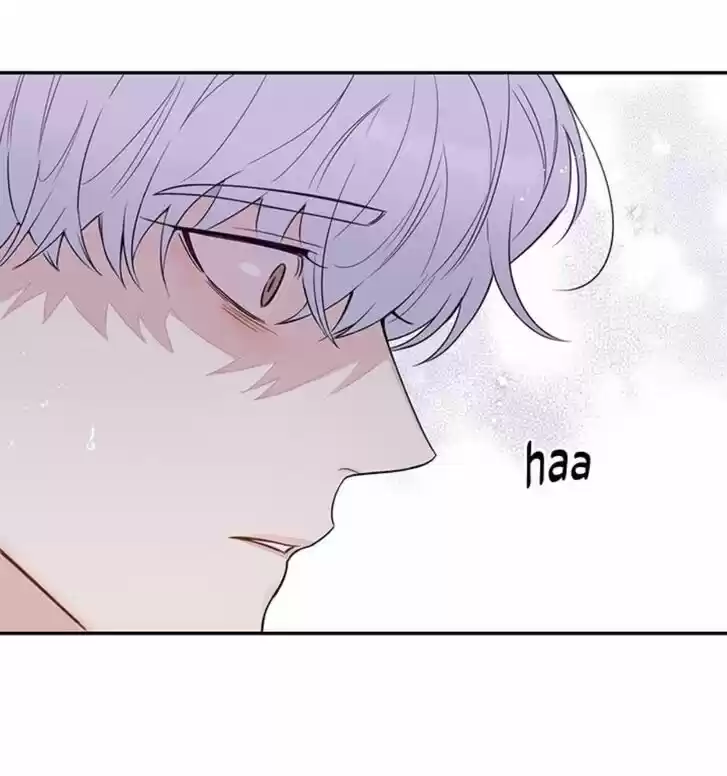 Cherry Blossoms After Winter Ch.146