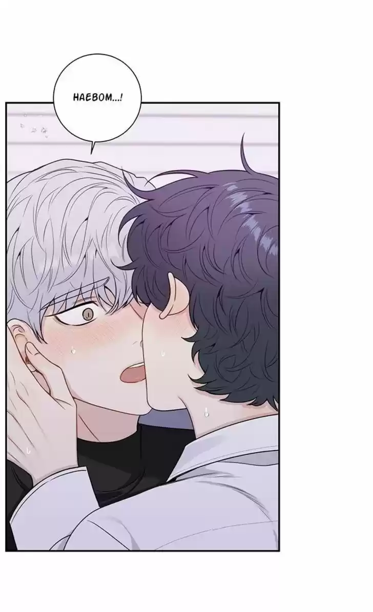 Cherry Blossoms After Winter Ch.146