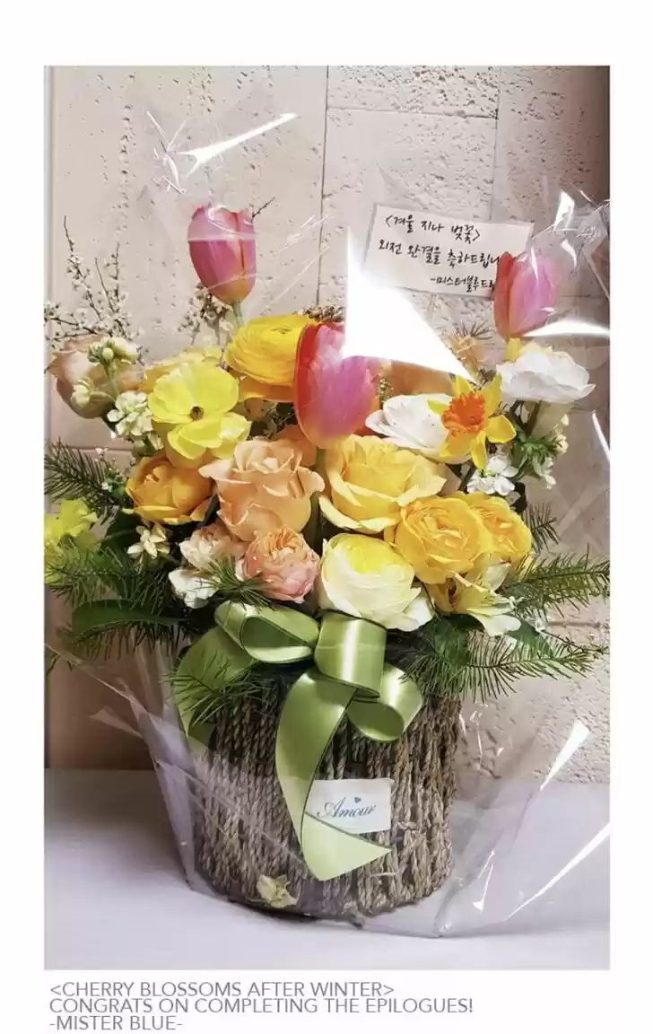 Cherry Blossoms After Winter Ch.146.5