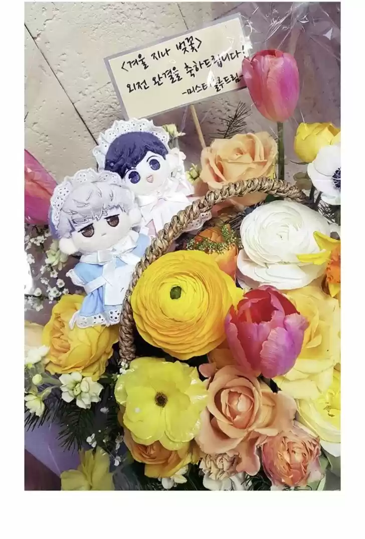 Cherry Blossoms After Winter Ch.146.5