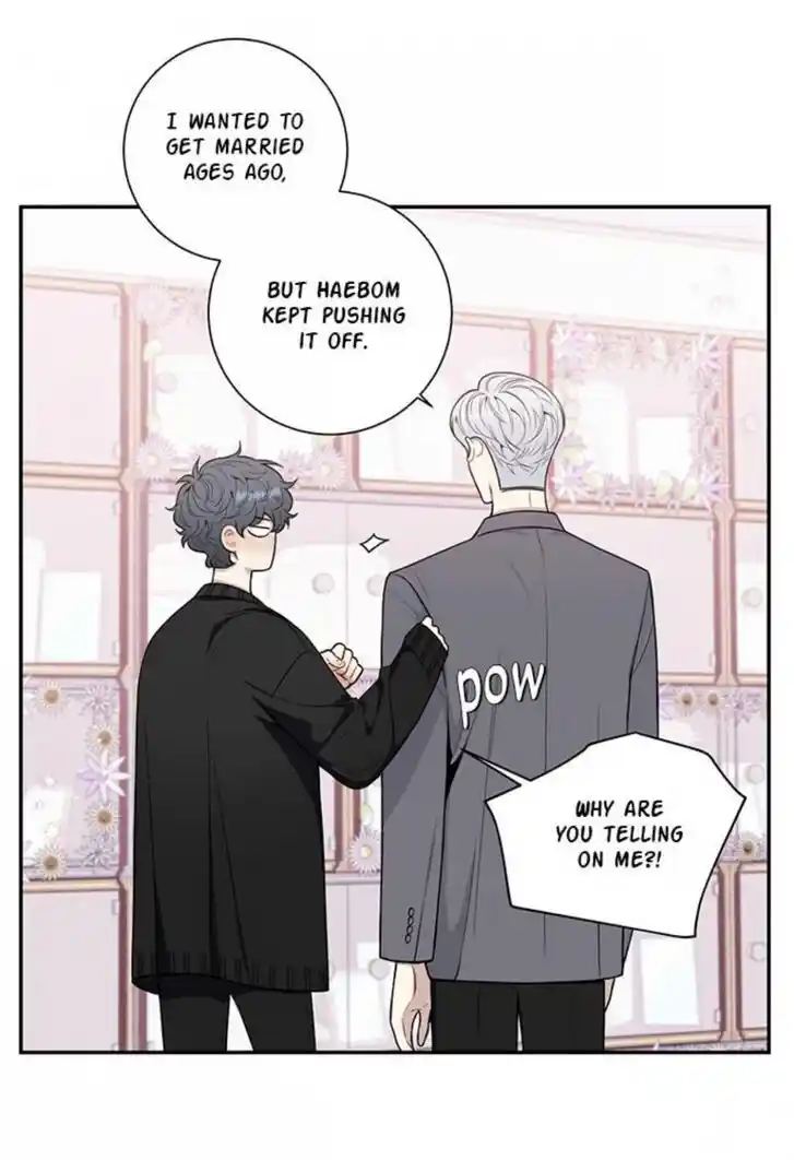 Cherry Blossoms After Winter Ch.147