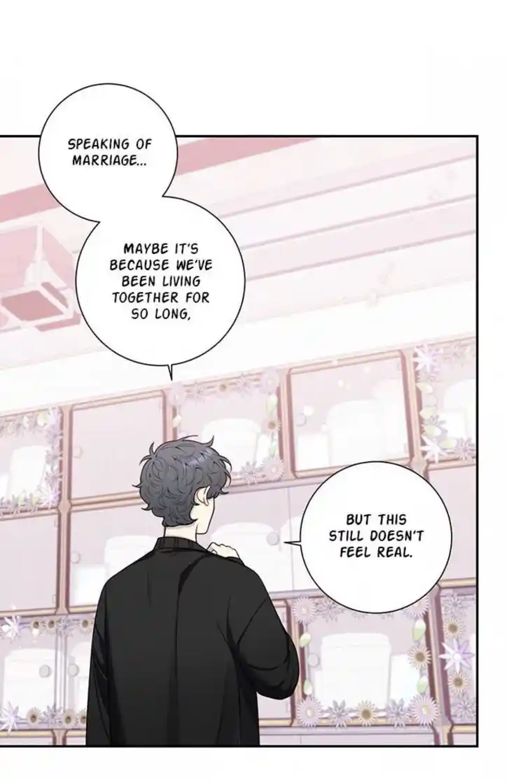 Cherry Blossoms After Winter Ch.147