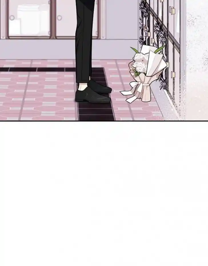 Cherry Blossoms After Winter Ch.147