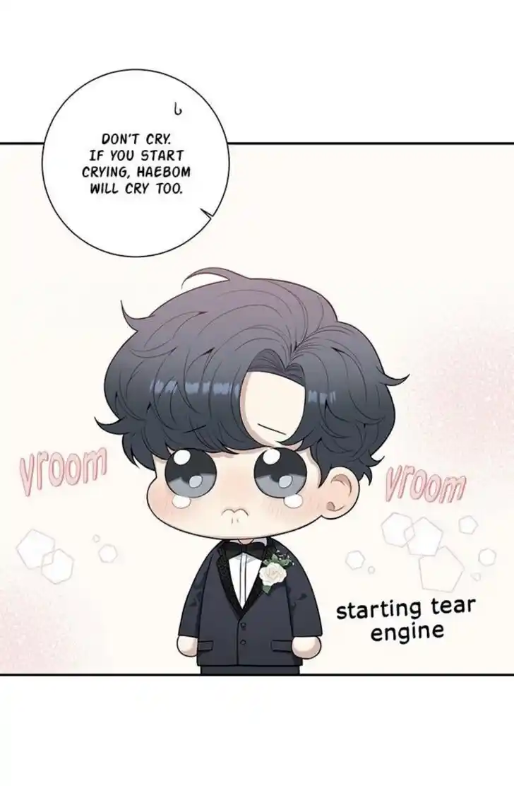 Cherry Blossoms After Winter Ch.147