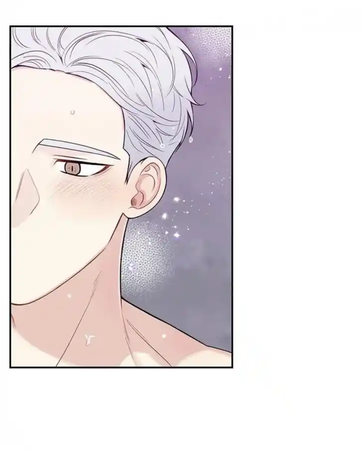 Cherry Blossoms After Winter Ch.149