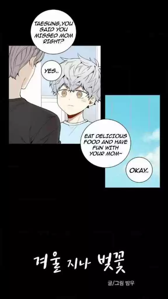 Cherry Blossoms After Winter Ch.20