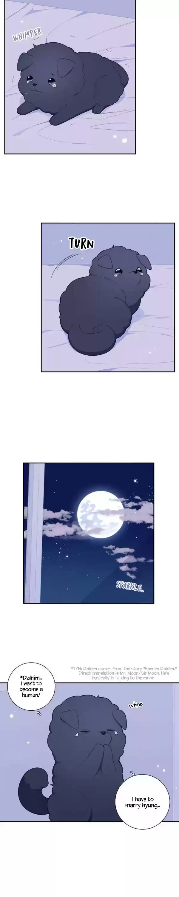 Cherry Blossoms After Winter Ch.92