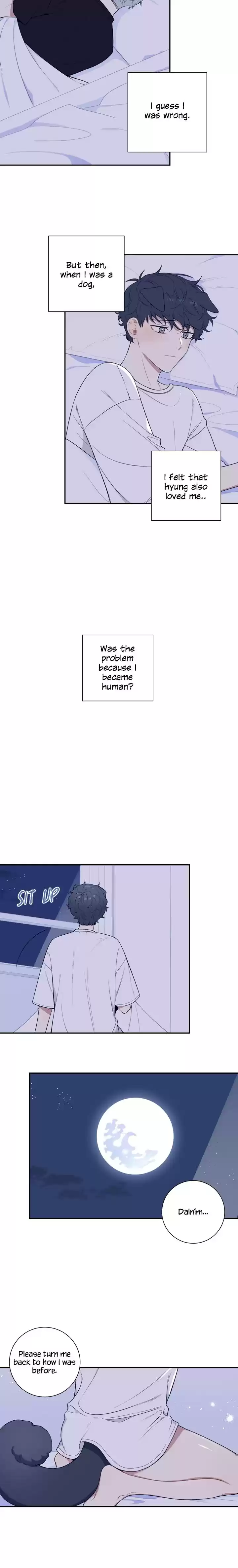 Cherry Blossoms After Winter Ch.93