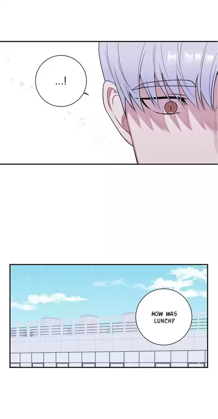 Cherry Blossoms After Winter Chapter 100