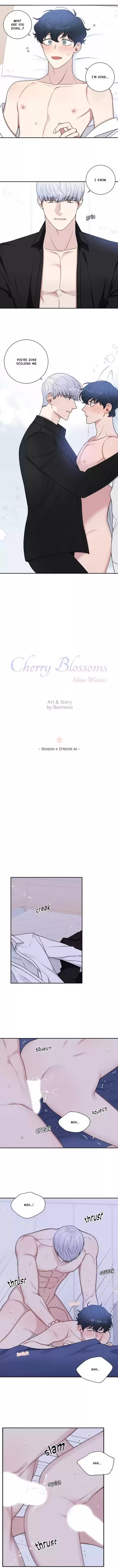 Cherry Blossoms After Winter Chapter 126