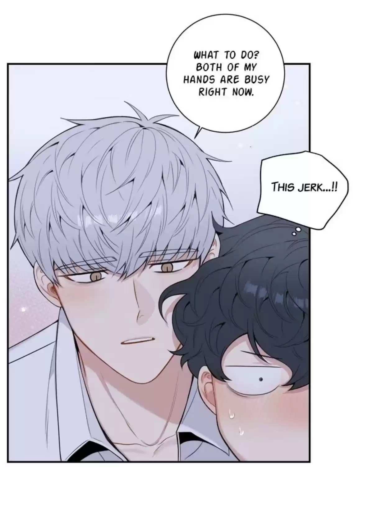 Cherry Blossoms After Winter "chapter 135