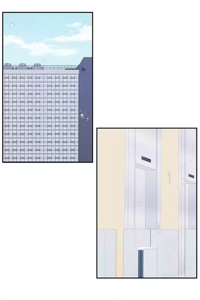 Cherry Blossoms After Winter Chapter 141