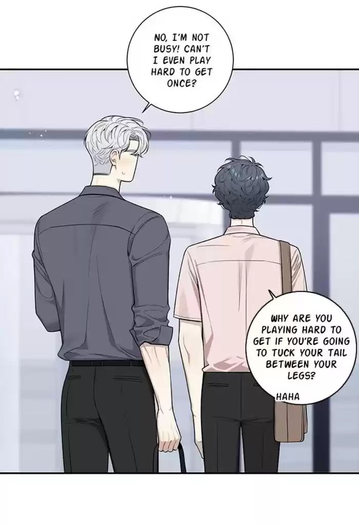 Cherry Blossoms After Winter Chapter 141