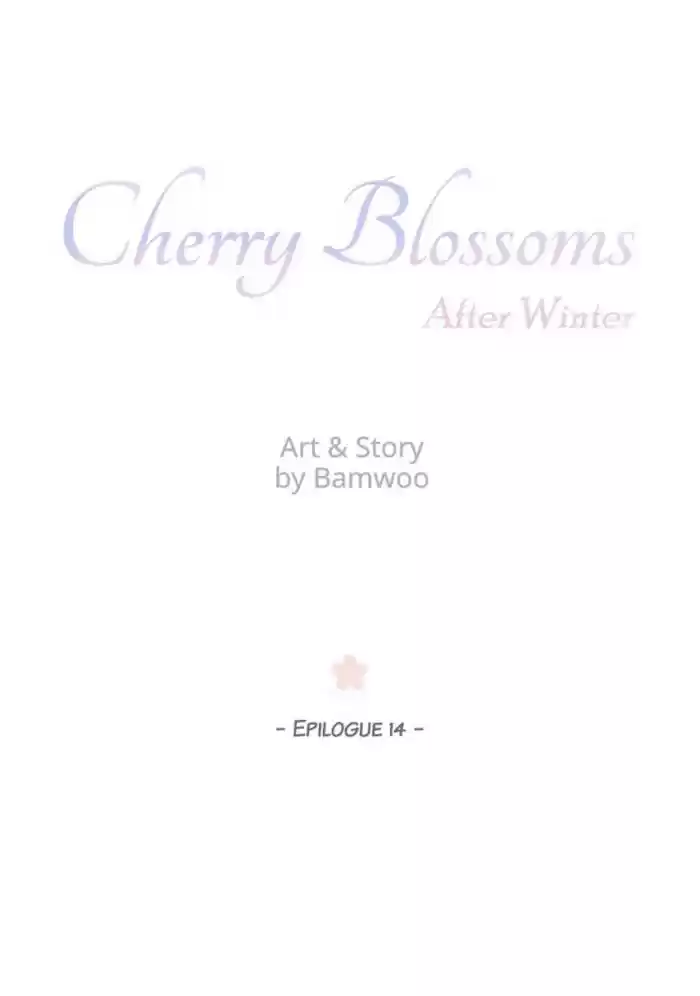 Cherry Blossoms After Winter Chapter 141