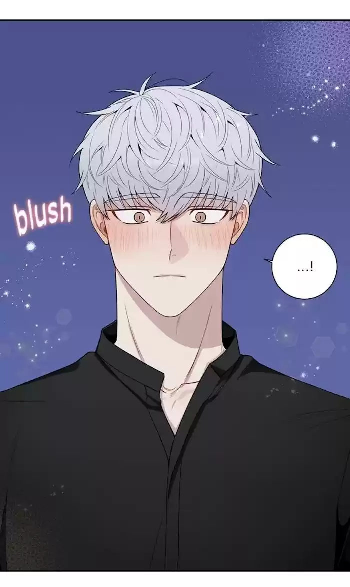 Cherry Blossoms After Winter Chapter 141