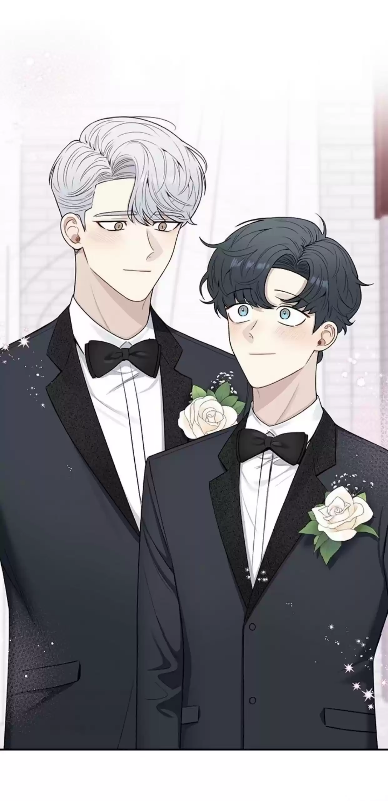 Cherry Blossoms After Winter Chapter 142