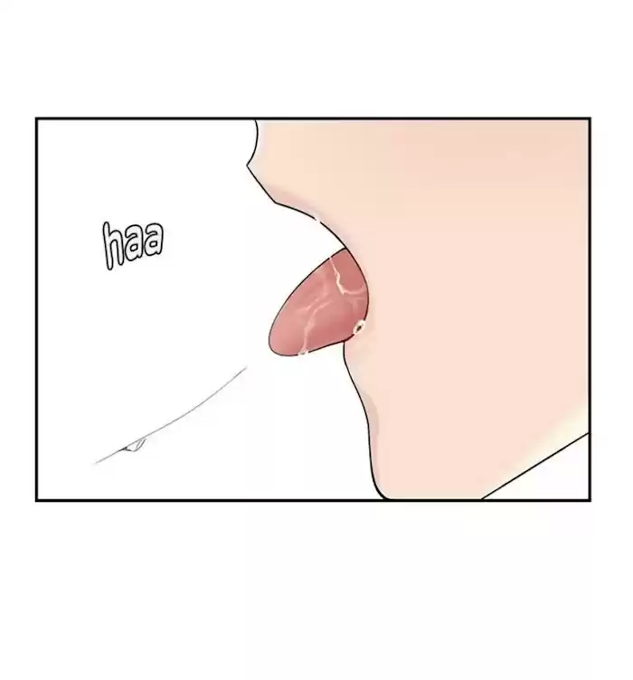 Cherry Blossoms After Winter Chapter 143