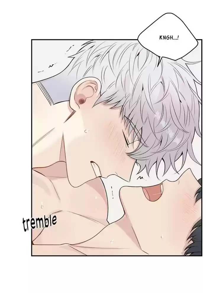 Cherry Blossoms After Winter Chapter 144