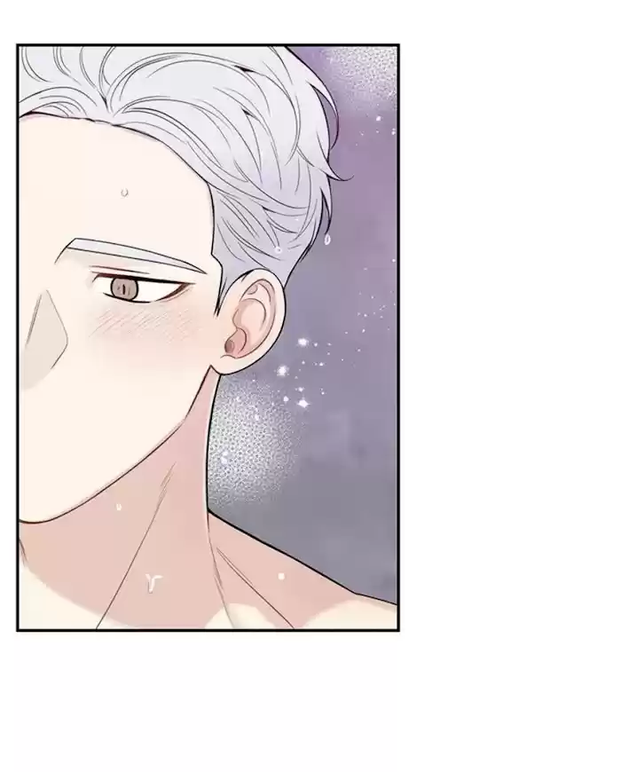 Cherry Blossoms After Winter Chapter 144