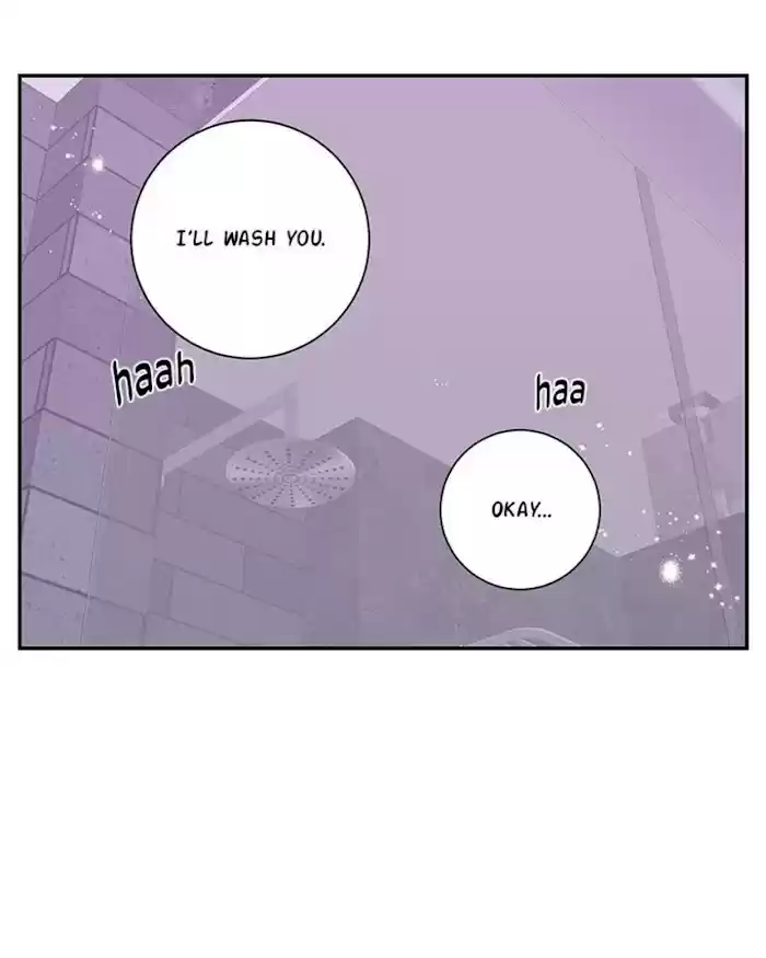 Cherry Blossoms After Winter Chapter 144