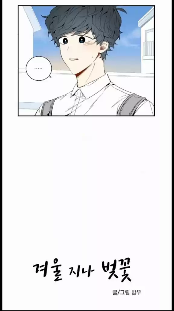 Cherry Blossoms After Winter Chapter 26