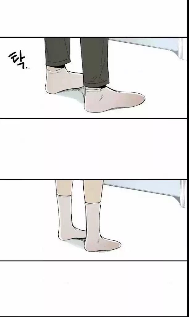 Cherry Blossoms After Winter Chapter 28