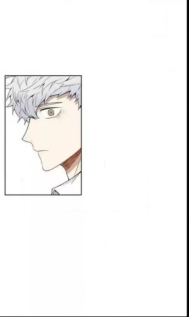 Cherry Blossoms After Winter Chapter 29