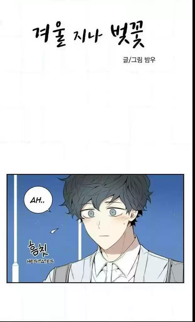 Cherry Blossoms After Winter Chapter 30