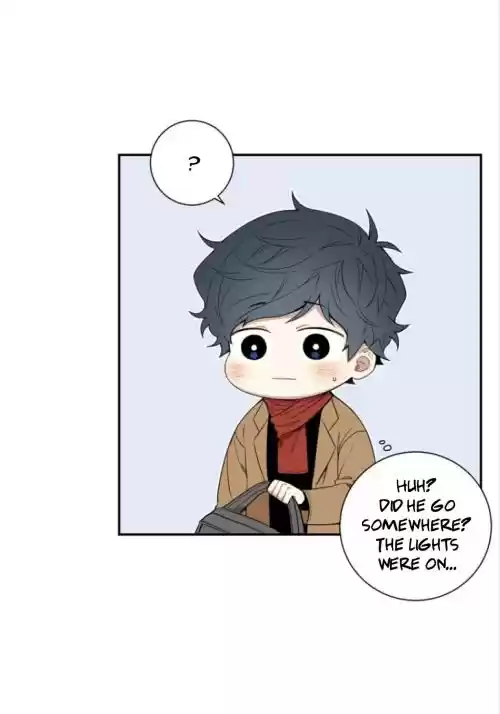 Cherry Blossoms After Winter Chapter 39