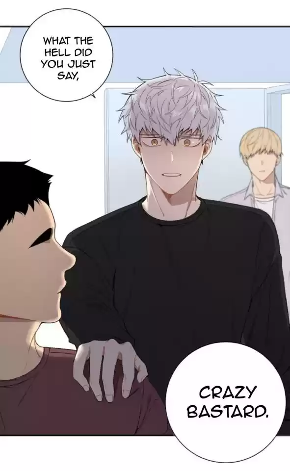 Cherry Blossoms After Winter Chapter 46