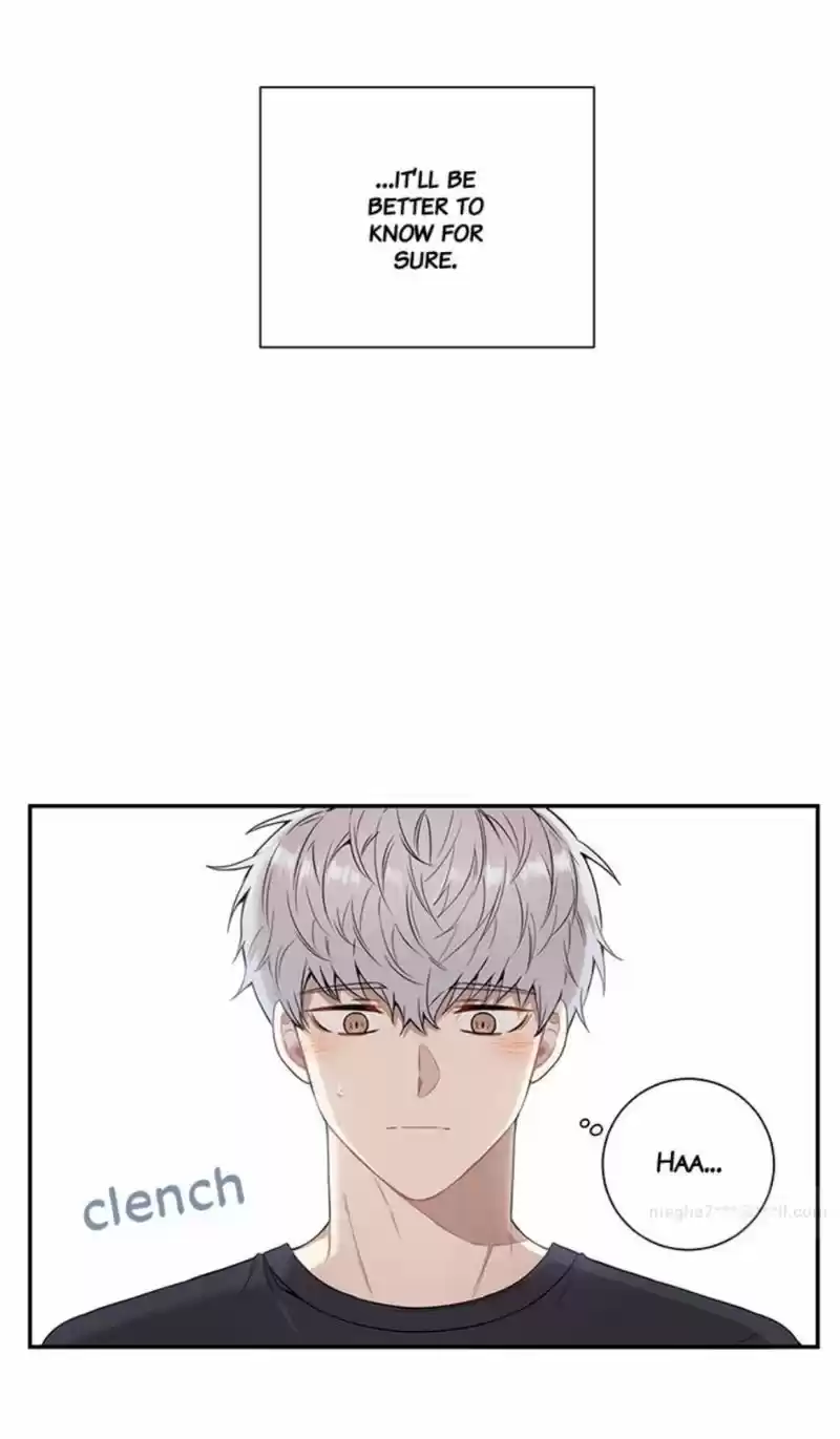 Cherry Blossoms After Winter Chapter 63