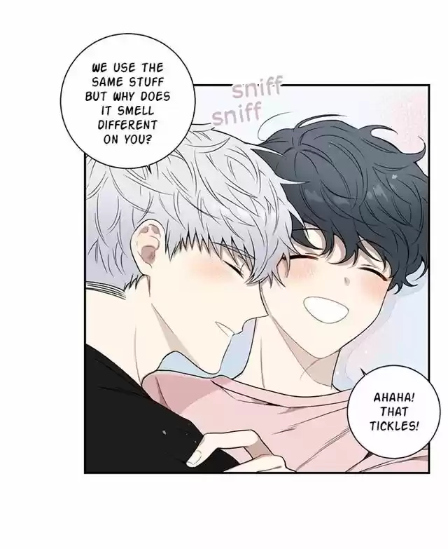 Cherry Blossoms After Winter Chapter 65