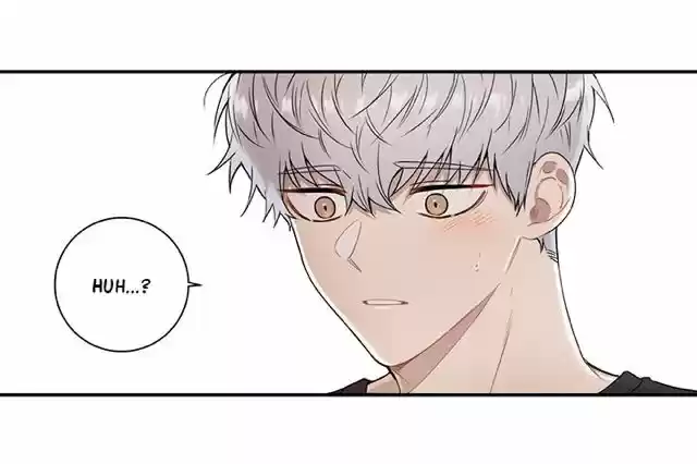 Cherry Blossoms After Winter Chapter 65