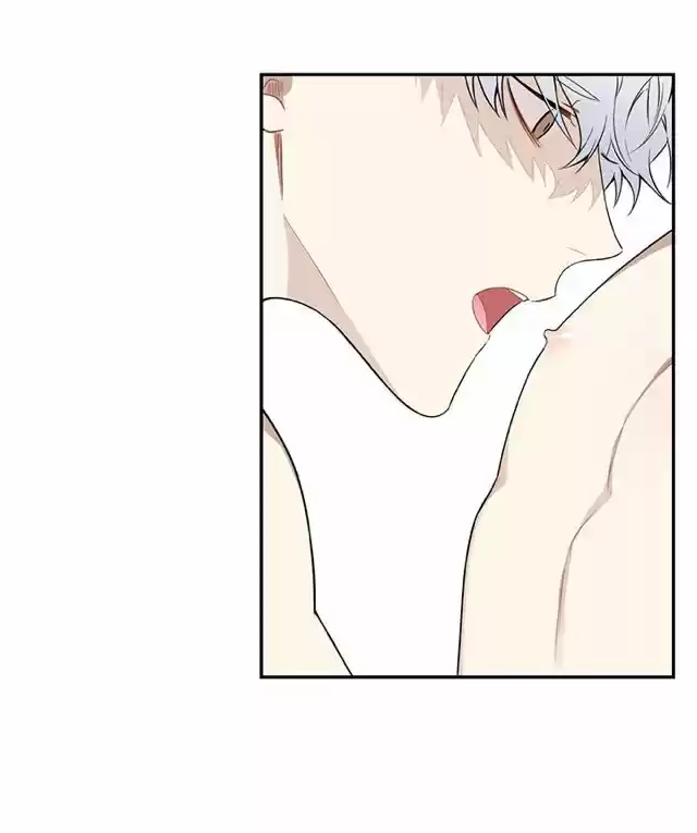 Cherry Blossoms After Winter Chapter 66