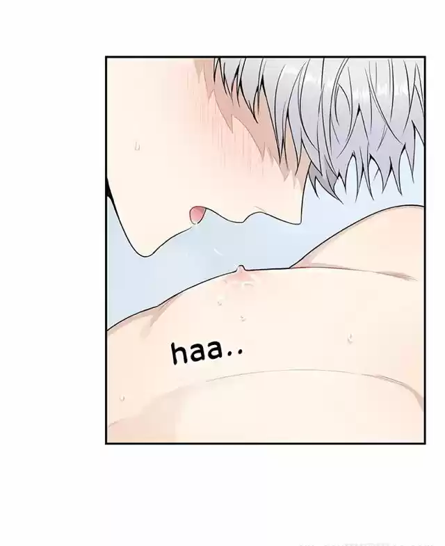 Cherry Blossoms After Winter Chapter 66