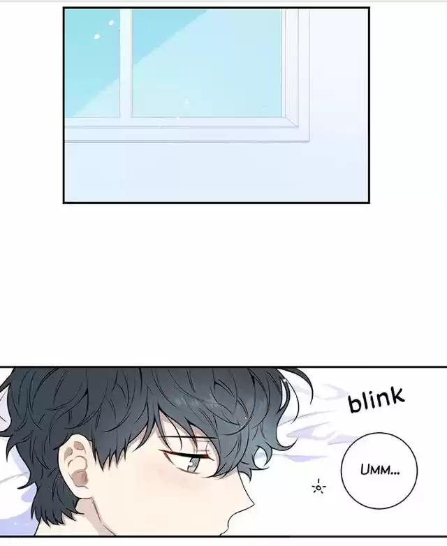 Cherry Blossoms After Winter Chapter 66