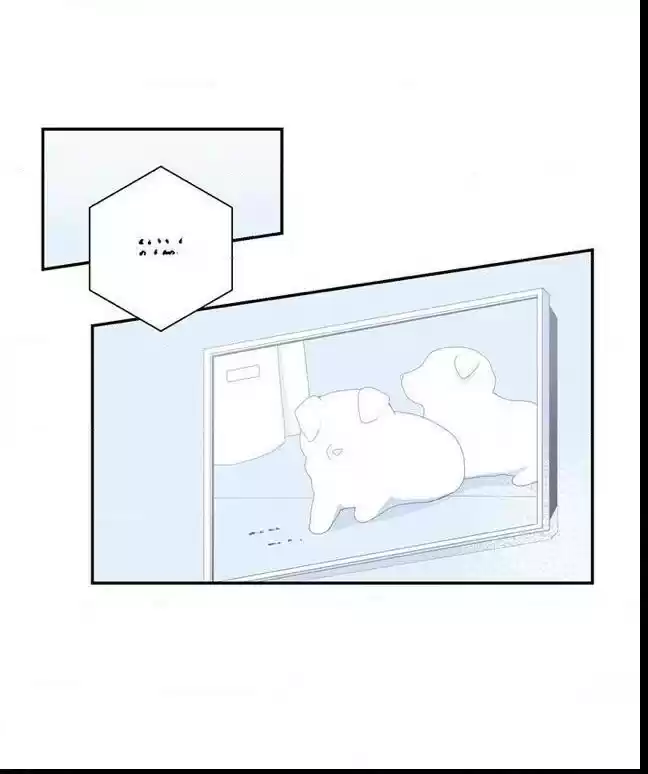 Cherry Blossoms After Winter Chapter 67