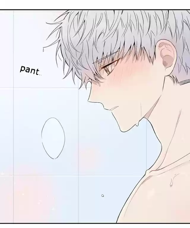 Cherry Blossoms After Winter Chapter 68