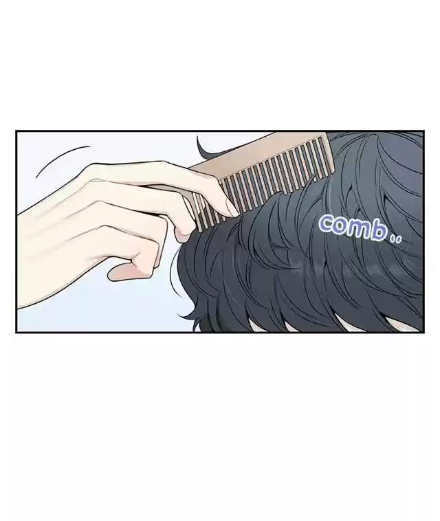 Cherry Blossoms After Winter Chapter 69